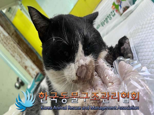 한국동물구조관리협회_441409202401514